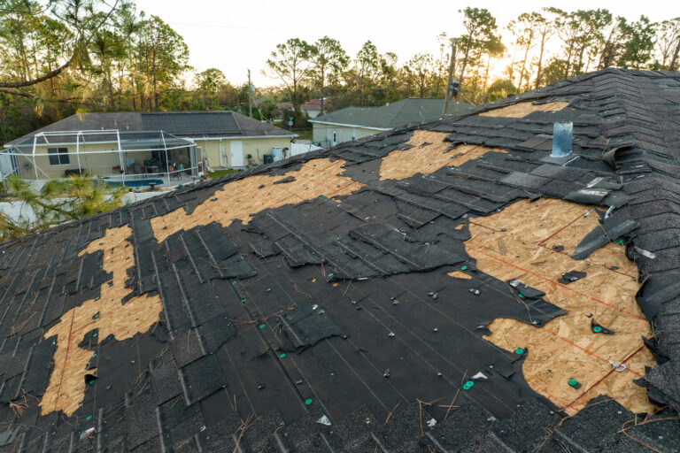 Florida rooftop with shingles missing