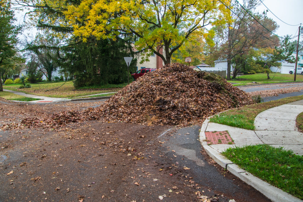 Yard Clean-Up Before Winter: How a Dumpster Can Handle Leaves, Branches & Debris