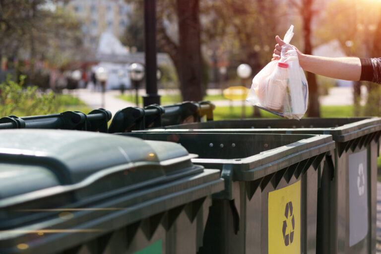 Eco-Friendly Waste Disposal | Wasteline Solutions Blog