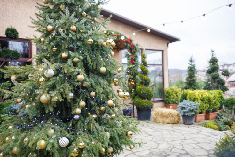 Christmas Yard Clean-Up | Wasteline Solutions Blog