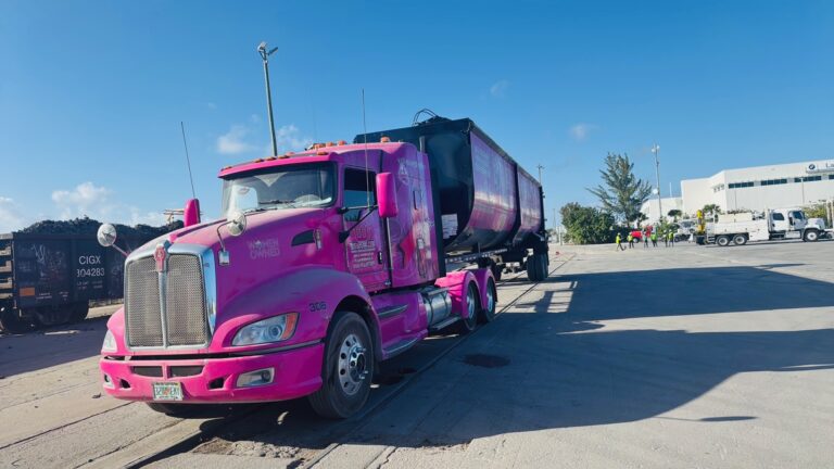 Wasteline Solutions pink dump truck